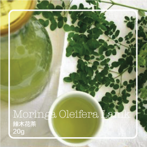 Moringa Oleifera Lamk 辣木茶